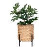 Antas Planteskjuler I Naturflet Fra House