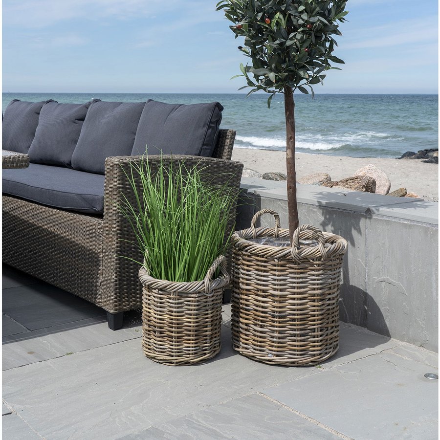 Gili Kurve I Naturflet Fra House