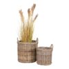 Gili Kurve I Naturflet Fra House