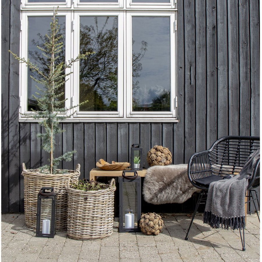 Indo Kurve I Naturflet Fra House