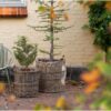 Indo Kurve I Naturflet Fra House