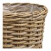 Kalak Kurve Af Naturfarvet Rattan |