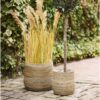 Moro Kurve Af Naturfarvet Rattan |