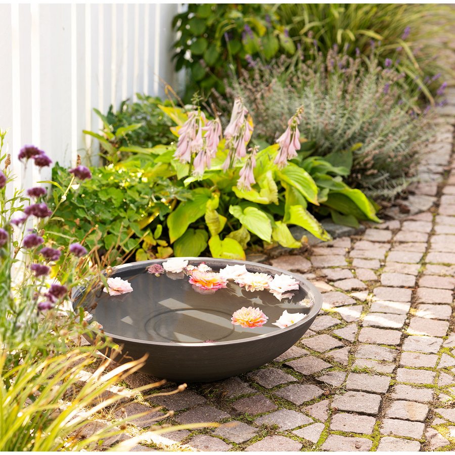 Fleuriste Vandblomst Fad Mørkegrå Ø60Xh16