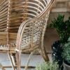 CANIA Stol i Bambus fra Nordal | 62x58x80 cm | Natur hos uniquebeds, home & living - Billede 6