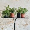 OLIVO Havebord i Sort Metal fra Nordal | 77x52x76 cm hos uniquebeds, home & living - Billede 3